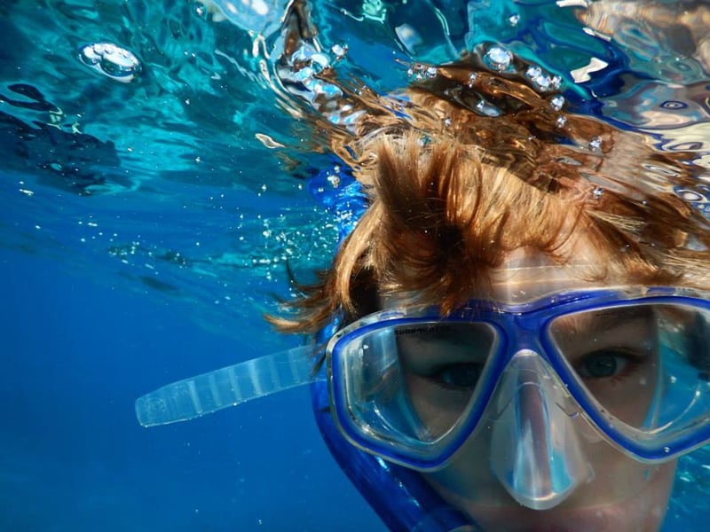 Snorkel