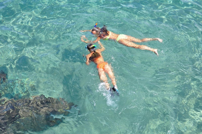 Snorkel Mask